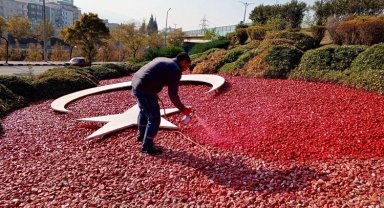 Manisa Büyükşehir peyzajla şehri daha da güzelleştiriyor