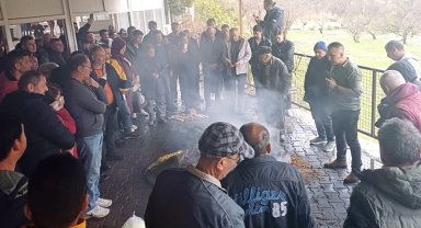 Muğla'da badem biti ve zeytin zararlılarıyla mücadele