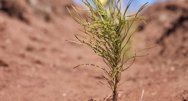 Uludağ Elektrik dijitalleşme çalışmalarıyla doğaya katkı sağlıyor