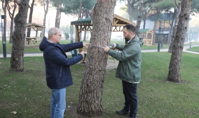 BTÜ'de orman envanterine katkı sağlayacak proje geliştiriliyor