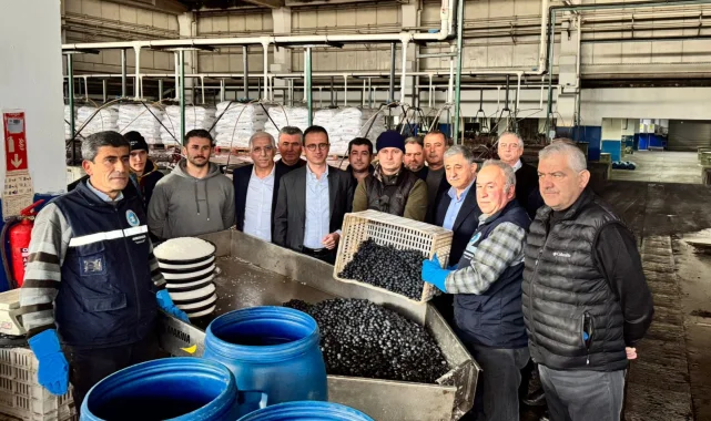 Bursa İznik'te Kaymakam Karaman'dan Zeytin Kooperatifi'ne ziyaret