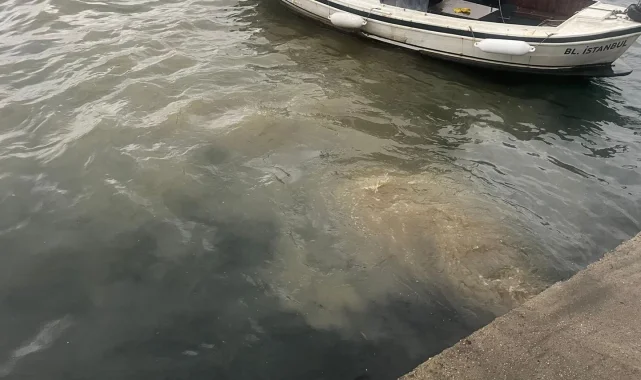İstanbul Üsküdar'da atık su deşarjına inceleme!