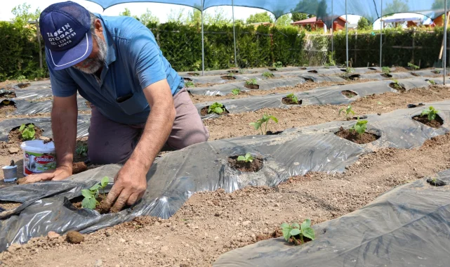 Konya'da başvurular 15 Ocak'ta başlıyor