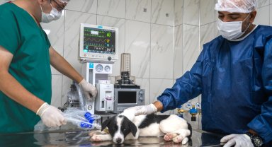 Malatya'da hayvan hastanesi hizmete girdi
