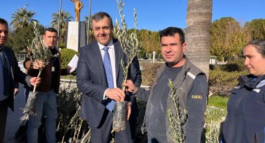Muğla Dalaman'da zeytin ve ceviz fidanları dağıtıldı