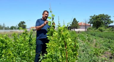 Ziraat Mühendisleri kendi çiftliklerini kurabilmesi için yeni projelerle teşvik edilmeli