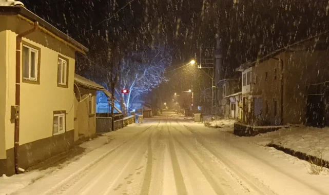 Bilecik Pazaryeri'nde kar yağışı etkili oluyor