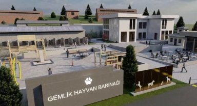 Bursa Gemlik Belediyesi patili dostlara sahip çıkıyor