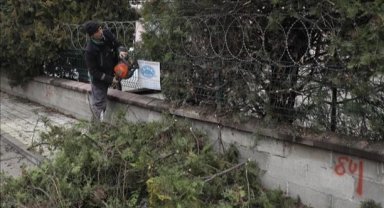 Bursa İnegöl'de ağaç budama çalışmaları sürüyor