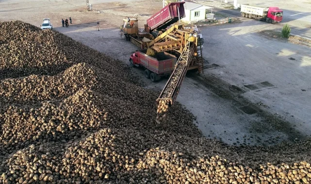 Erzurum ve Erzincan'da pancar hasadı tamamlandı