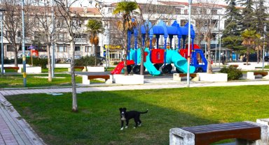 Gemlik'in parklarda çevresi değişiyor