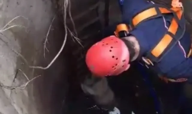 İstanbul Çatalca'da kuyuya düşen köpek kurtarıldı