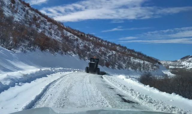 Malatya'da 56 mahallede kar mesaisi