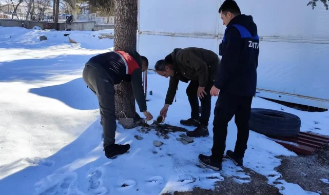 Malatya'da sokak hayvanları unutulmadı