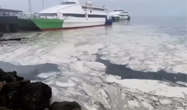 Marmara'nın çığlığına Bursa'dan ses oldular! Başkan Bozbey: Duymazdan gelemeyiz