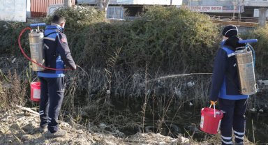 Muğla'da sivrisinek ile mücadele yıl boyunca devam ediyor