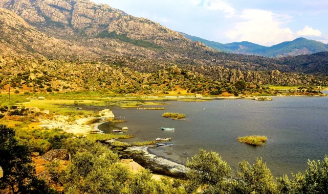 Proje Evi Kooperatifi'nden evrensel imza