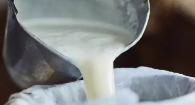 Süte su katılıyor mu nasıl anlaşılır?