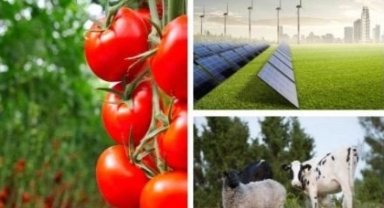 Tarıma dayalı yatırımlarıda hibelere ilişkin kriterler netleşti