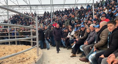 Trakya'nın ilk sütçü mezatı büyük ilgi gördü