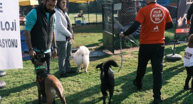Türkiye'de ilk kez Köpekli Labirent Oryantiring yarışması yapıldı