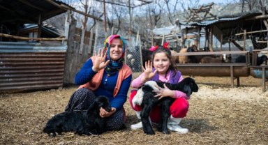 300 yetiştiriciye 7 bin 500 küçükbaş hayvan desteği