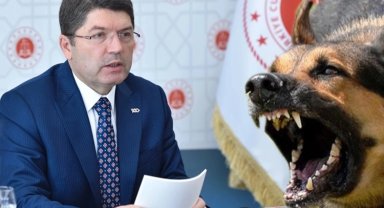 Başıboş saldırılarla ilgili ihmallere soruşturma