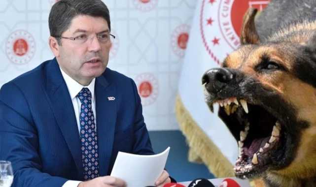 Başıboş saldırılarla ilgili ihmallere soruşturma