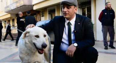 Bornova'da Hayvan Hakları savunucularına güçlü destek