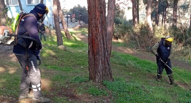 Bursa Gemlik'te yeşil seferberlik