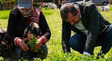 Bursa Gürsu'ya 'Altın' değerinde bir proje