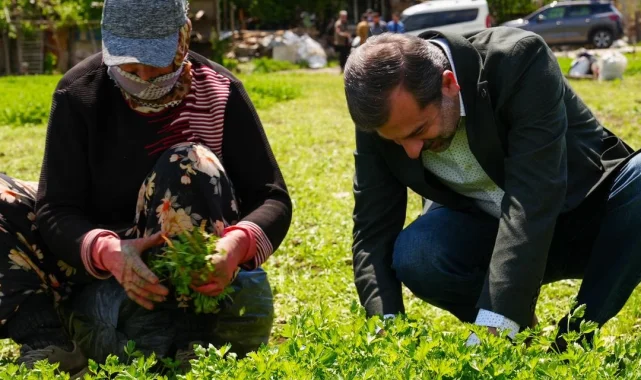 Bursa Gürsu'ya 'Altın' değerinde bir proje