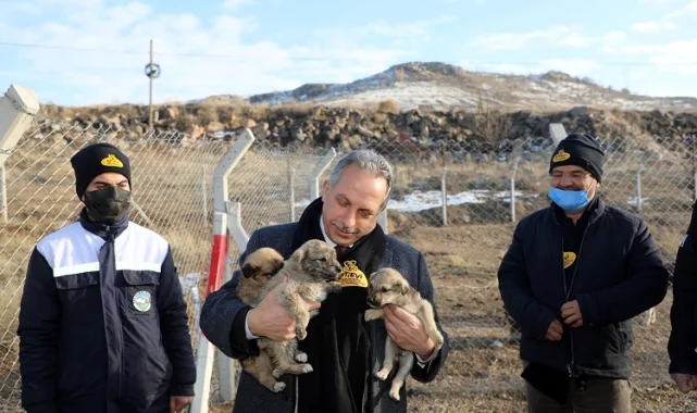 Kayseri Talas'a Türkiye'ye örnek Pati Evi