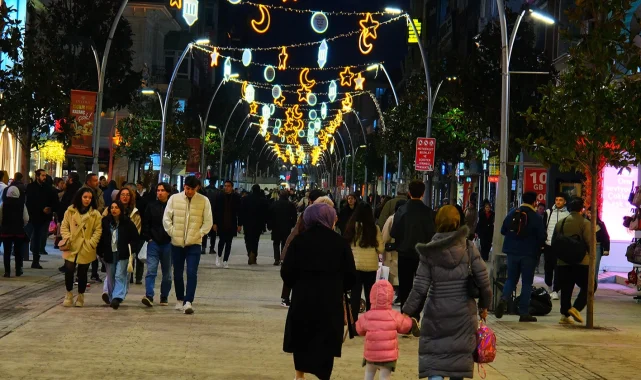 Sakarya'da Çark Caddesi süslendi