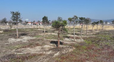 Sakarya'da yeşil cenneti Büyükşehir eliyle yaşatılıyor