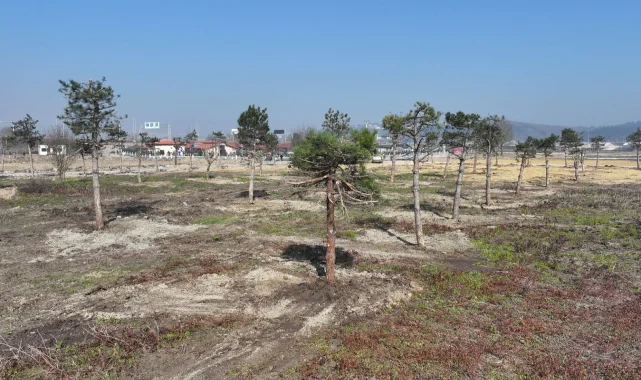 Sakarya'da yeşil cenneti Büyükşehir eliyle yaşatılıyor