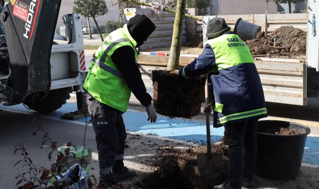 Sakarya'da yeşil' dokunuşla şehrin çehresini değiştiriyor
