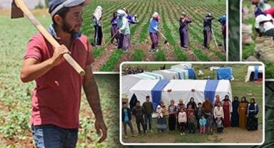 Tarım işçilerine en yüksek ödeme yapan iller?