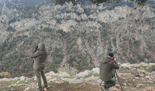Antalya'da yasadışı avcılığa suçüstü!