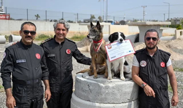 Ares ve Rex, uluslararası sınavda zirvede