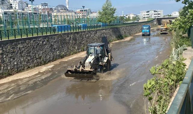 Bursa'da Mandıras Deresi'nde yaz temizliği