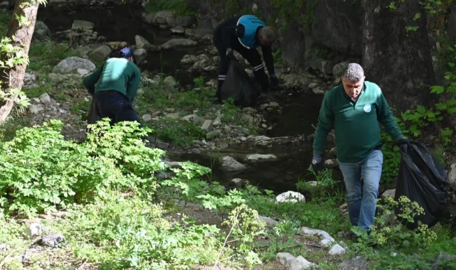 Çaybaşı Deresi'nde temizlik ve ağaçlandırma