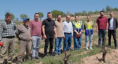 Denizli Büyükşehir üreticileri yalnız bırakmıyor