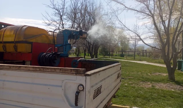 Erzincan'da larva ilaçlaması