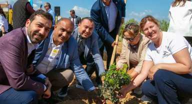 İzmir Güzelbahçe'de sakız ağaçları büyüyecek