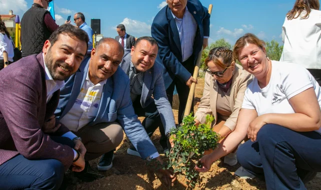 İzmir Güzelbahçe'de sakız ağaçları büyüyecek
