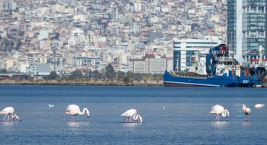 İzmir'in iklim krizi ile mücadelesi güçleniyor