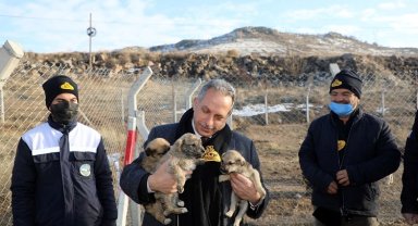 Kayseri Talas'ta patili dostlara büyük destek