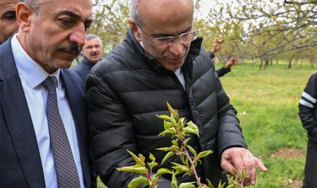 Malatya'da zirai dondan etkilenen çiftçilere ziyaret
