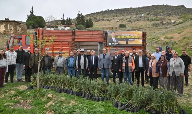 Manisa Büyükşehir yanan alanları yeşillendiriyor